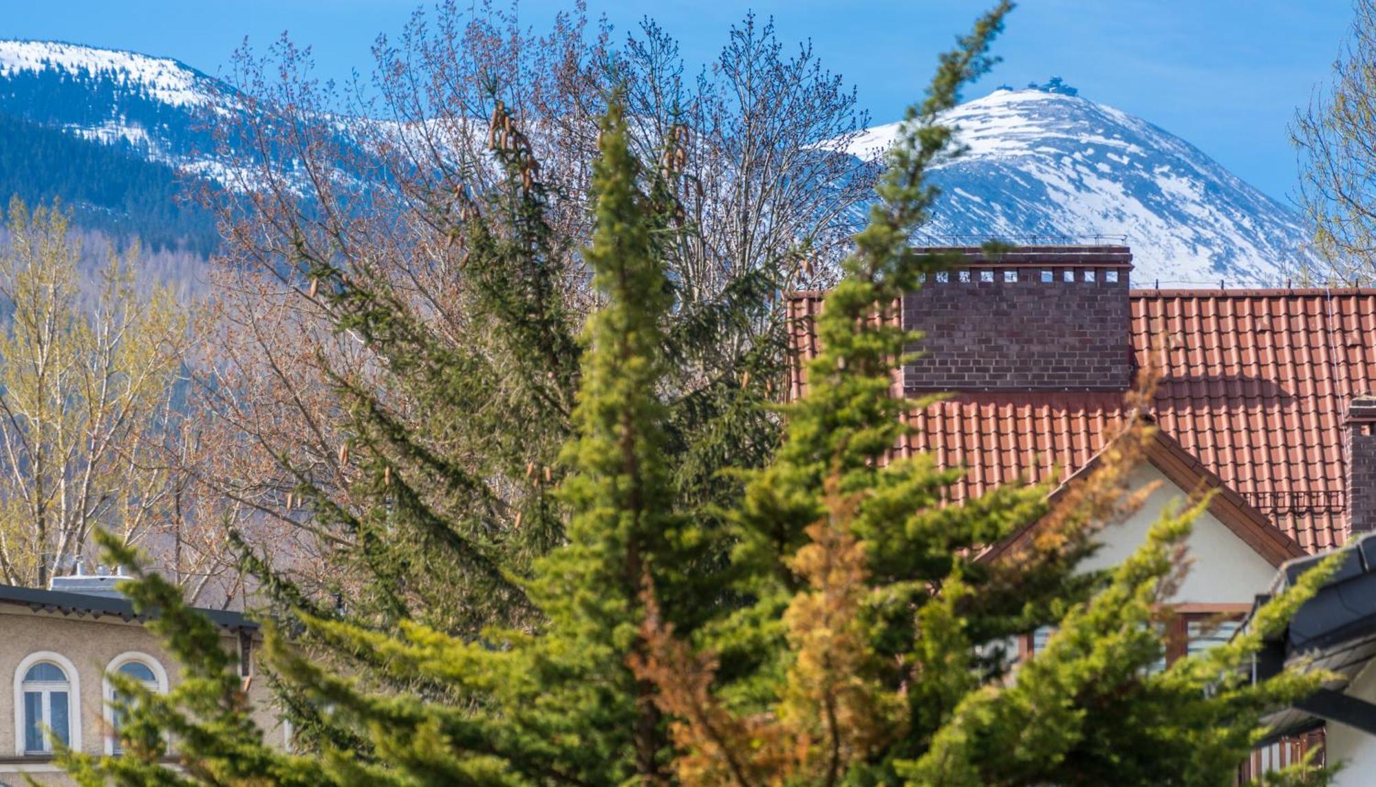 Apartament Ski Sudety Kowary Kültér fotó